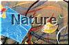 Nature Theme