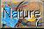 Nature Theme