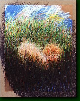 sfgrass.jpg