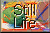 City Theme