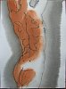 n95_125_01_sm.jpg